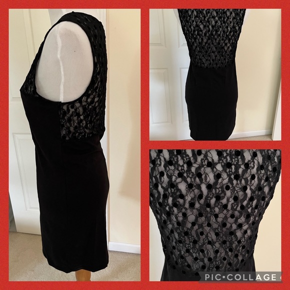 FREE PEOPLE BLACK LACE ABD LYCRA BODYCON DRESS   LARGE - Picture 4 of 11